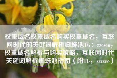 权重域名权重域名购买权重域名，互联网时代的关键词解析蜘蛛池TG：zzcseo，权重域名解析与购买策略，互联网时代关键词解析蜘蛛池指南（附TG，zzcseo）