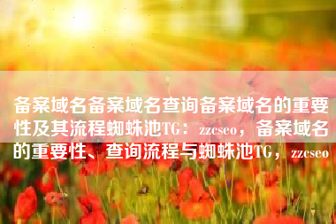 备案域名备案域名查询备案域名的重要性及其流程蜘蛛池TG：zzcseo，备案域名的重要性、查询流程与蜘蛛池TG，zzcseo