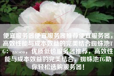 便宜服务器便宜服务器推荐便宜服务器，高效性能与成本效益的完美结合蜘蛛池TG：zzcseo，优质低价服务器推荐，高效性能与成本效益的完美结合，蜘蛛池TG助你轻松选购服务器！
