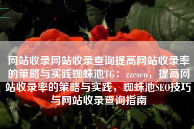 网站收录网站收录查询提高网站收录率的策略与实践蜘蛛池TG：zzcseo，提高网站收录率的策略与实践，蜘蛛池SEO技巧与网站收录查询指南