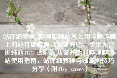 站详细教程_哔哩哔哩站怎么用哔哩哔哩上的站详细教程，从零开始，步步为营蜘蛛池TG：zzcseo，从零开始的哔哩哔哩站使用指南，站详细教程与蜘蛛池技巧分享（附TG，zzcseo）