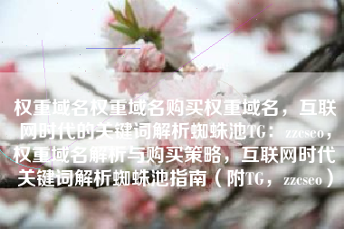 权重域名权重域名购买权重域名，互联网时代的关键词解析蜘蛛池TG：zzcseo，权重域名解析与购买策略，互联网时代关键词解析蜘蛛池指南（附TG，zzcseo）