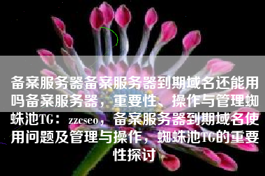 备案服务器备案服务器到期域名还能用吗备案服务器，重要性、操作与管理蜘蛛池TG：zzcseo，备案服务器到期域名使用问题及管理与操作，蜘蛛池TG的重要性探讨