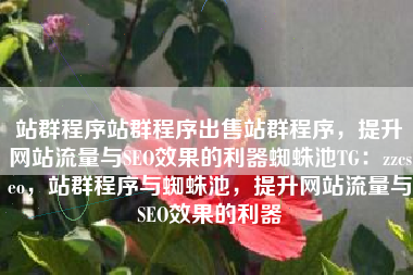 站群程序站群程序出售站群程序，提升网站流量与SEO效果的利器蜘蛛池TG：zzcseo，站群程序与蜘蛛池，提升网站流量与SEO效果的利器