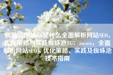 网站seo网站seo是什么全面解析网站SEO，优化策略与实践蜘蛛池TG：zzcseo，全面解析网站SEO，优化策略、实践及蜘蛛池技术指南