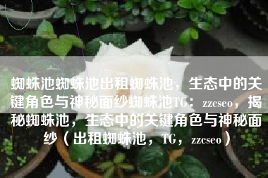 蜘蛛池蜘蛛池出租蜘蛛池，生态中的关键角色与神秘面纱蜘蛛池TG：zzcseo，揭秘蜘蛛池，生态中的关键角色与神秘面纱（出租蜘蛛池，TG，zzcseo）