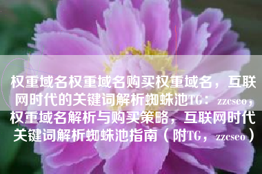 权重域名权重域名购买权重域名，互联网时代的关键词解析蜘蛛池TG：zzcseo，权重域名解析与购买策略，互联网时代关键词解析蜘蛛池指南（附TG，zzcseo）