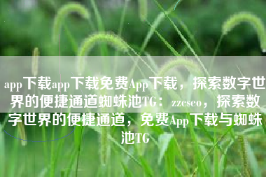 app下载app下载免费App下载，探索数字世界的便捷通道蜘蛛池TG：zzcseo，探索数字世界的便捷通道，免费App下载与蜘蛛池TG
