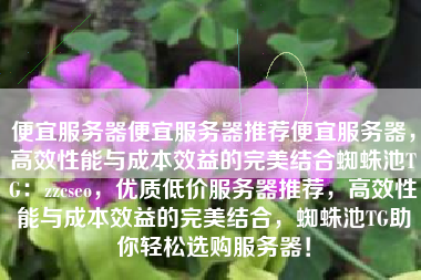 便宜服务器便宜服务器推荐便宜服务器，高效性能与成本效益的完美结合蜘蛛池TG：zzcseo，优质低价服务器推荐，高效性能与成本效益的完美结合，蜘蛛池TG助你轻松选购服务器！