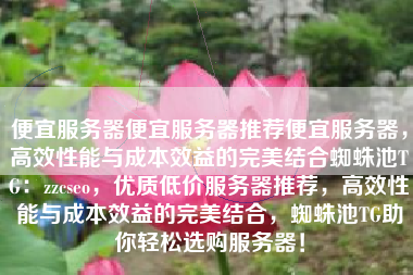 便宜服务器便宜服务器推荐便宜服务器，高效性能与成本效益的完美结合蜘蛛池TG：zzcseo，优质低价服务器推荐，高效性能与成本效益的完美结合，蜘蛛池TG助你轻松选购服务器！
