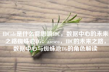 IDCidc是什么意思啊IDC，数据中心的未来之路蜘蛛池TG：zzcseo，IDC的未来之路，数据中心与蜘蛛池TG的角色解读