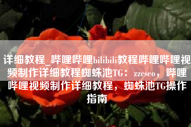 详细教程_哔哩哔哩bilibili教程哔哩哔哩视频制作详细教程蜘蛛池TG：zzcseo，哔哩哔哩视频制作详细教程，蜘蛛池TG操作指南