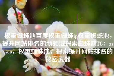 权重蜘蛛池百度权重蜘蛛ip权重蜘蛛池，提升网站排名的新领域探索蜘蛛池TG：zzcseo，权重蜘蛛池，探索提升网站排名的秘密武器