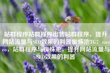 站群程序站群程序出售站群程序，提升网站流量与SEO效果的利器蜘蛛池TG：zzcseo，站群程序与蜘蛛池，提升网站流量与SEO效果的利器