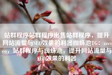 站群程序站群程序出售站群程序，提升网站流量与SEO效果的利器蜘蛛池TG：zzcseo，站群程序与蜘蛛池，提升网站流量与SEO效果的利器