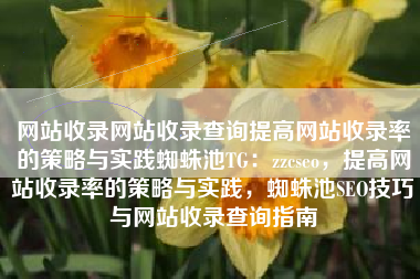 网站收录网站收录查询提高网站收录率的策略与实践蜘蛛池TG：zzcseo，提高网站收录率的策略与实践，蜘蛛池SEO技巧与网站收录查询指南