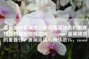 备案域名备案域名查询备案域名的重要性及其流程蜘蛛池TG：zzcseo，备案域名的重要性、查询流程与蜘蛛池TG，zzcseo