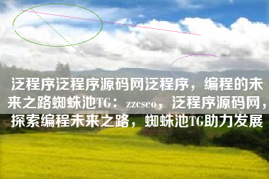 泛程序泛程序源码网泛程序，编程的未来之路蜘蛛池TG：zzcseo，泛程序源码网，探索编程未来之路，蜘蛛池TG助力发展