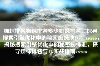 蜘蛛排名蜘蛛排名多少蜘蛛排名，探寻搜索引擎优化中的秘密蜘蛛池TG：zzcseo，揭秘搜索引擎优化中的秘密蜘蛛池，探寻蜘蛛排名与TG实战指南zzcseo