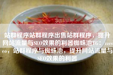 站群程序站群程序出售站群程序，提升网站流量与SEO效果的利器蜘蛛池TG：zzcseo，站群程序与蜘蛛池，提升网站流量与SEO效果的利器