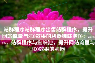 站群程序站群程序出售站群程序，提升网站流量与SEO效果的利器蜘蛛池TG：zzcseo，站群程序与蜘蛛池，提升网站流量与SEO效果的利器