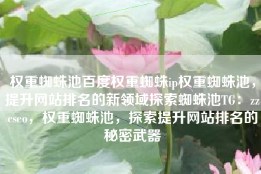 权重蜘蛛池百度权重蜘蛛ip权重蜘蛛池，提升网站排名的新领域探索蜘蛛池TG：zzcseo，权重蜘蛛池，探索提升网站排名的秘密武器