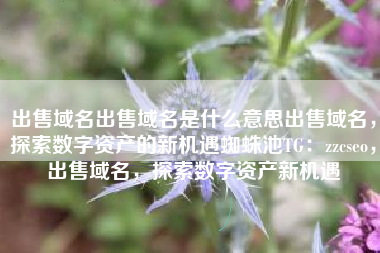 出售域名出售域名是什么意思出售域名，探索数字资产的新机遇蜘蛛池TG：zzcseo，出售域名，探索数字资产新机遇