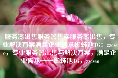 服务器出售服务器售卖服务器出售，专业解决方案满足企业需求蜘蛛池TG：zzcseo，专业服务器出售与解决方案，满足企业需求——蜘蛛池TG，zzcseo