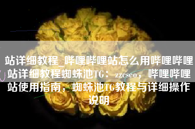 站详细教程_哔哩哔哩站怎么用哔哩哔哩站详细教程蜘蛛池TG：zzcseo，哔哩哔哩站使用指南，蜘蛛池TG教程与详细操作说明
