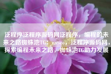 泛程序泛程序源码网泛程序，编程的未来之路蜘蛛池TG：zzcseo，泛程序源码网，探索编程未来之路，蜘蛛池TG助力发展