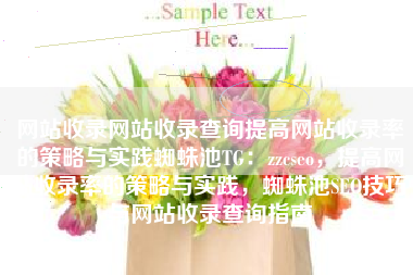 网站收录网站收录查询提高网站收录率的策略与实践蜘蛛池TG：zzcseo，提高网站收录率的策略与实践，蜘蛛池SEO技巧与网站收录查询指南