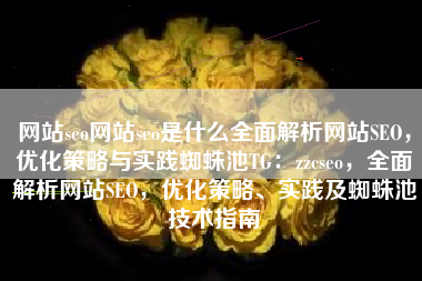 网站seo网站seo是什么全面解析网站SEO，优化策略与实践蜘蛛池TG：zzcseo，全面解析网站SEO，优化策略、实践及蜘蛛池技术指南