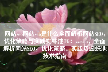 网站seo网站seo是什么全面解析网站SEO，优化策略与实践蜘蛛池TG：zzcseo，全面解析网站SEO，优化策略、实践及蜘蛛池技术指南