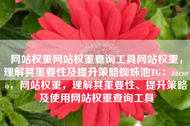 网站权重网站权重查询工具网站权重，理解其重要性及提升策略蜘蛛池TG：zzcseo，网站权重，理解其重要性、提升策略及使用网站权重查询工具