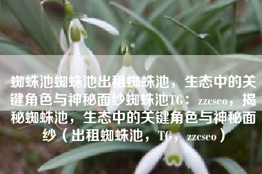 蜘蛛池蜘蛛池出租蜘蛛池，生态中的关键角色与神秘面纱蜘蛛池TG：zzcseo，揭秘蜘蛛池，生态中的关键角色与神秘面纱（出租蜘蛛池，TG，zzcseo）