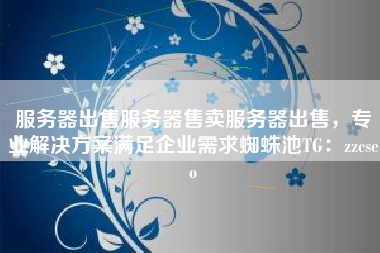 服务器出售服务器售卖服务器出售，专业解决方案满足企业需求蜘蛛池TG：zzcseo
