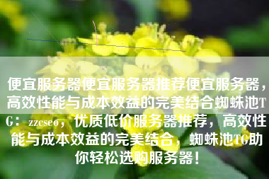 便宜服务器便宜服务器推荐便宜服务器，高效性能与成本效益的完美结合蜘蛛池TG：zzcseo，优质低价服务器推荐，高效性能与成本效益的完美结合，蜘蛛池TG助你轻松选购服务器！