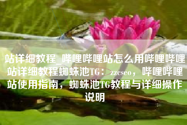 站详细教程_哔哩哔哩站怎么用哔哩哔哩站详细教程蜘蛛池TG：zzcseo，哔哩哔哩站使用指南，蜘蛛池TG教程与详细操作说明