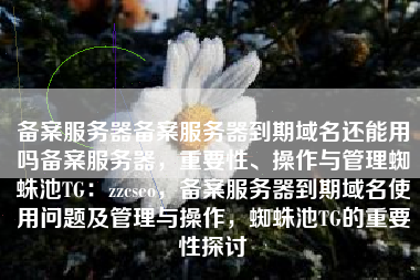备案服务器备案服务器到期域名还能用吗备案服务器，重要性、操作与管理蜘蛛池TG：zzcseo，备案服务器到期域名使用问题及管理与操作，蜘蛛池TG的重要性探讨
