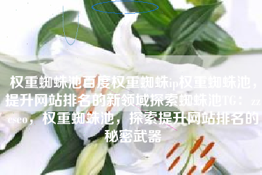 权重蜘蛛池百度权重蜘蛛ip权重蜘蛛池，提升网站排名的新领域探索蜘蛛池TG：zzcseo，权重蜘蛛池，探索提升网站排名的秘密武器