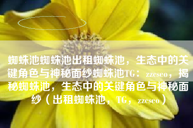 蜘蛛池蜘蛛池出租蜘蛛池，生态中的关键角色与神秘面纱蜘蛛池TG：zzcseo，揭秘蜘蛛池，生态中的关键角色与神秘面纱（出租蜘蛛池，TG，zzcseo）