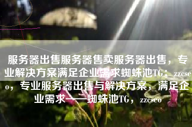 服务器出售服务器售卖服务器出售，专业解决方案满足企业需求蜘蛛池TG：zzcseo，专业服务器出售与解决方案，满足企业需求——蜘蛛池TG，zzcseo