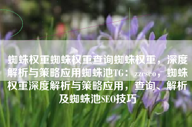 蜘蛛权重蜘蛛权重查询蜘蛛权重，深度解析与策略应用蜘蛛池TG：zzcseo，蜘蛛权重深度解析与策略应用，查询、解析及蜘蛛池SEO技巧