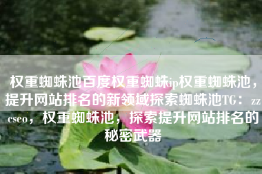 权重蜘蛛池百度权重蜘蛛ip权重蜘蛛池，提升网站排名的新领域探索蜘蛛池TG：zzcseo，权重蜘蛛池，探索提升网站排名的秘密武器