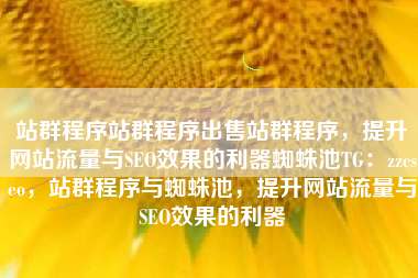 站群程序站群程序出售站群程序，提升网站流量与SEO效果的利器蜘蛛池TG：zzcseo，站群程序与蜘蛛池，提升网站流量与SEO效果的利器