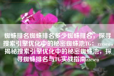 蜘蛛排名蜘蛛排名多少蜘蛛排名，探寻搜索引擎优化中的秘密蜘蛛池TG：zzcseo，揭秘搜索引擎优化中的秘密蜘蛛池，探寻蜘蛛排名与TG实战指南zzcseo
