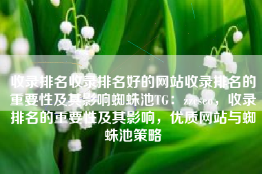 收录排名收录排名好的网站收录排名的重要性及其影响蜘蛛池TG：zzcseo，收录排名的重要性及其影响，优质网站与蜘蛛池策略