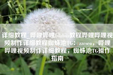 详细教程_哔哩哔哩bilibili教程哔哩哔哩视频制作详细教程蜘蛛池TG：zzcseo，哔哩哔哩视频制作详细教程，蜘蛛池TG操作指南