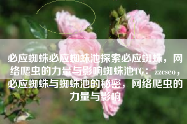 必应蜘蛛必应蜘蛛池探索必应蜘蛛，网络爬虫的力量与影响蜘蛛池TG：zzcseo，必应蜘蛛与蜘蛛池的秘密，网络爬虫的力量与影响