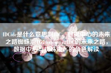 IDCidc是什么意思啊IDC，数据中心的未来之路蜘蛛池TG：zzcseo，IDC的未来之路，数据中心与蜘蛛池TG的角色解读